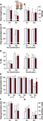 Impacts of drought and elevated temperature on the seeds of malting barley